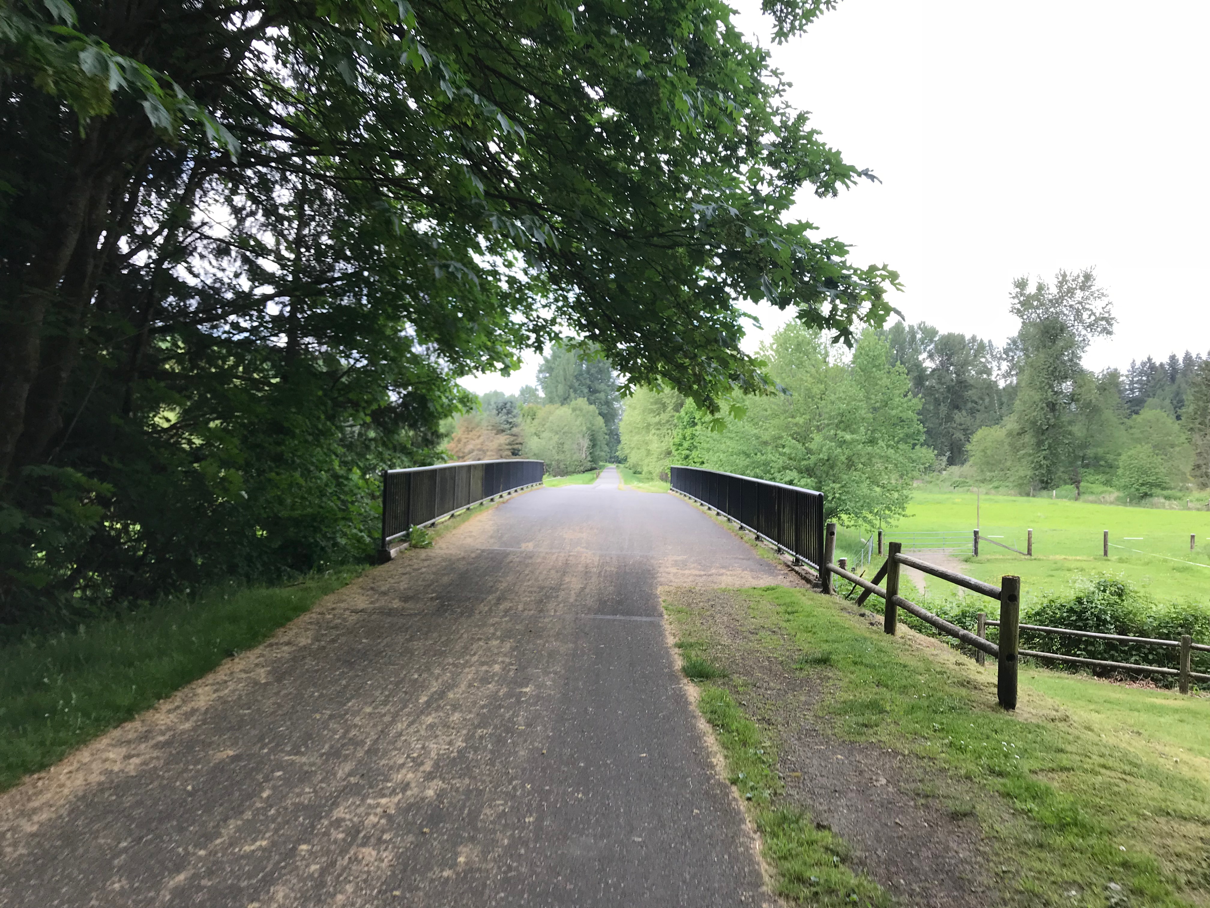 A bike trail bridge in a verdant exurban area