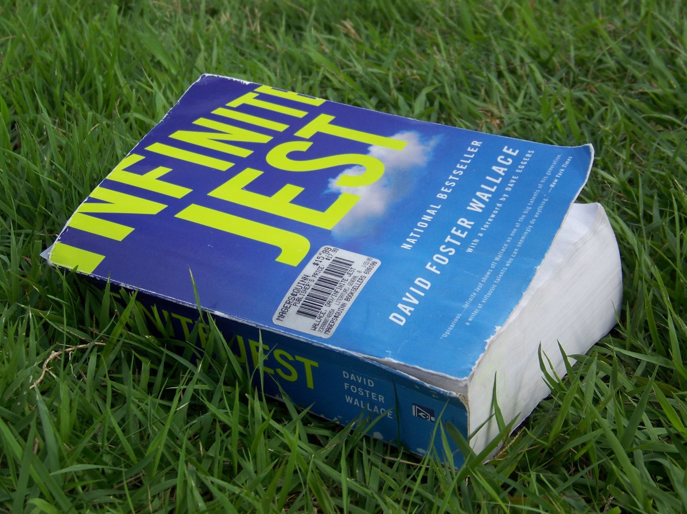 Infinite Jest at 30, New Yorker