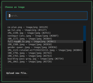 Screenshot of WP TUI's image chooser.